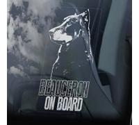 Madcolitote Beauceron on Board Autocollant pour fenêtre de voiture Motif berger français à poil court