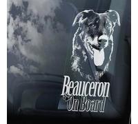 Madcolitote Beauceron on Board Autocollant pour fenêtre de voiture Motif berger français à poil court