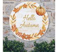 Madcolitote Panneau de bienvenue « Hello Autumn » pour porche d'entrée, noix, couronne de citrouille, panneau en métal, plaque murale en métal, décoration murale de ferme, décoration murale pour