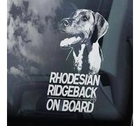 Madcolitote Rhodesian Ridgeback on Board Autocollant pour fenêtre de voiture Motif lion africain