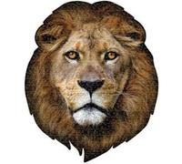 I Am Puzzle Lion 550 Pieces