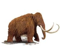 Madd Capp puzzle mammouth 94 x 53 cm carton brun 100 pièces