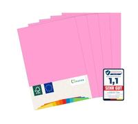 MADE IN EU 180 feuilles de papier de couleur ROSE BUISSON A4 80 g/m² CS Paper - papier pour imprimante, papier à copier, papier universel pour imprimer, bricoler & plier au format A4