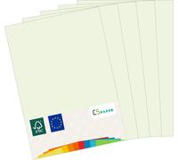 Made in EU 180 Sheets of Coloured Paper Light Green A4 80 g/m² CS Paper-Printer Paper,Copy Paper,Universal Paper for Printing,Crafting & Folding,A4 Size.