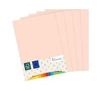 MADE IN EU 20 feuilles de papier de couleur SAUMON A4 80 g/m² CS Paper - papier pour imprimante, papier à copier, papier universel pour imprimer, bricoler & plier au format A4