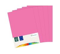 MADE IN EU 50 Feuilles de Papier Couleur Rose Fluo A4 80 g/m² CS Paper - Pour Imprimante, Copier, Imprimer, Bricoler & Plier