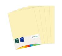 MADE IN EU 50 feuilles de papier de couleur CHAMPAGNE A4 80 g/m² CS Paper - papier pour imprimante, papier à copier, papier universel pour imprimer, bricoler & plier au format A4