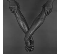 Made of Oak - Penumbra