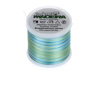 Madeira 9845-1602 2 Plis Polyneon Polyester Fil à Broder, 40 WT/135d 402,3 m, panaché Amazone