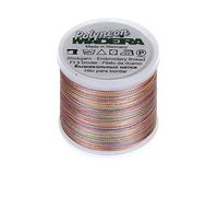 Madeira 9845-1605 2 Plis Polyneon Polyester Fil à Broder, 40 WT/135d 402,3 m, panaché torride