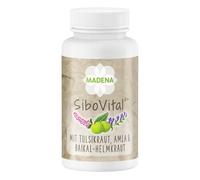 MADENA SiboVital - Complexe végétal chez SIBO pour soutenir la muqueuse intestinale - 60 gélules avec tulsi, amla, scarpentiale Baïkal, ail et niacine - Végétalien