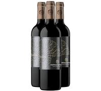 Madiran Solis - Rouge 2020 - Château du Pouey - Vin Rouge du Sud-Ouest (3x75cl) HVE