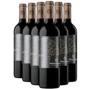 Madiran Solis - Rouge 2020 - Château du Pouey - Vin Rouge du Sud-Ouest (6x75cl) HVE