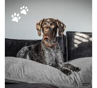 Madison Coussin pour chien Panama 100x70x15 cm Gris