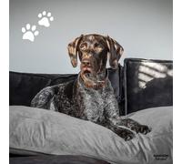 Madison Coussin pour chien Panama 80x55x15 cm Gris