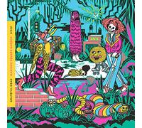 Grateful Dead – Madison Square Garden, New York, NY 3/9/81 – Live – CD