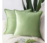 Madizz Lot de 2 Doux Velours Décoratif Housses de Coussin Luxe Style pour canapé Chambre Vert Pomme 40 x 40 cm