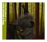 Madlib Medicine Show, Vol. 11 - Low Budget High Fi Music