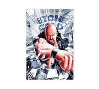maehbya Poster Stone Cold Steve Austin Punch sur toile pour décoration de chambre à coucher, bureau, chambre, cadeau 20 x 30 cm
