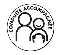 Maelsa® Disque Conduite accompagnée pour Voiture, Jeune conducteur en Formation - Diamètre 15 cm - Design réglementaire, résistant, sans Traces - Quantité : 1 (Electrostatique)