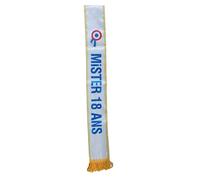 Maelsa® Echarpe Mister 18 ANS Taille Unique - Accessoires de fête anniversaire, Costume, déguisement, Jeux, Jouets (au choix) (MISTER 18 ANS)