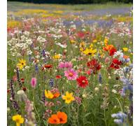 MAELSA® GRAINES EN SACHET POUR POTAGER ET JARDIN - FLEURS - SEMENCES DE FLEURS DIVERS VARIETES AU CHOIX (FLEURS DES CHAMPS EN MELANGE)