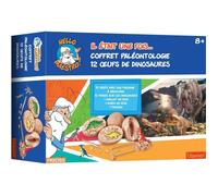 MAESTRO - Hello Maestro, il était une fois l'homme… Coffret Paléontologie 12 œufs dinosaures
