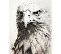 MAFANG Kits De Peinture Diamant 5D Kit d'art Diamant Animal Aigle Noir Et Blanc，Perceuse Ronde Complète，Dessin en Cristal，Broderie Diamant pour Décoration Murale De Maison 40X50cm