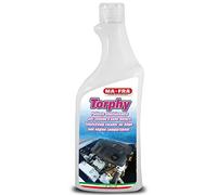 Mafra, Boat Line, Torphy, Nettoyant Degraissant et Concentré pour Le Lavage des Bateaux et Embarcations, Format 750ml