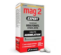 Mag2 Expert - Magnésium Bisglycinate + Vitamine B6 et B12 - 45 Jours | Magnésium Bisglycinate, Citrate & Oxyde à haute assimilation² et bonne tolérance intestinale² - 45 Capsules