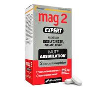 Mag2 Expert - Magnésium Bisglycinate + Vitamine B6 et B12 - 90 Jours | Magnésium Bisglycinate, Citrate & Oxyde à haute assimilation² et bonne tolérance intestinale² - 90 Capsules