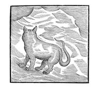 Magaletti, Valentina - Kansai Bruises