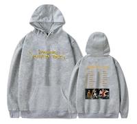 Magdalena Bay Merch Imaginal Mystery Tour 2026 Sweat à capuche à manches longues Fan Merch Pull décontracté Unisexe, gris, S