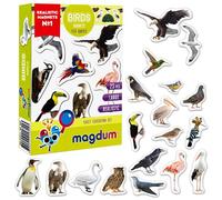 magdum Magnet frigo Enfant Oiseaux FOTO magnetiques 25 Grande Magnet Enfant Frigo Jouet Enfant 3 Ans Aimant Frigo Enfant Jouet Jeu educatif Emants magnetique Aimant Tableau Blanc Multicolore