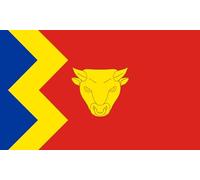 magFlags Drapeau Large Birmingham, United Kingdom | The new city flag of Birmingham | drapeau paysage | 1.35m² | 90x150cm