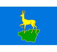 magFlags Drapeau Large Dzerzhinsky District Krasnoyarsk Krai, 2012 | Dzerzhinsky District Krasnoyarsk Krai | Дзержинский р