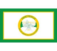 magFlags Drapeau Large Fayetteville, West Virginia | drapeau paysage | 1.35m² | 90x150cm