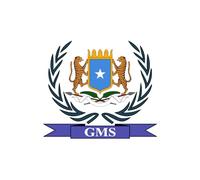 magFlags Drapeau Large Galmudug 2006-2009 | Galmudug from 2006 to 2009 |