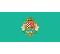 magFlags Drapeau Large Grada Karlovca | Grada je modro zelene boje |
