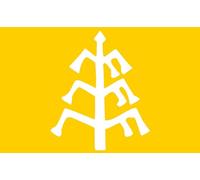 magFlags Drapeau Large Kara-Khanid Khanate Fictive | Fictitious flag of the