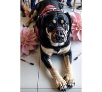 MAGGIE MAY TEEN DETECTIVE: CASE OF THE RETIRED SERVICE DOG