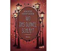 Maggie Stiefvat Wo das Dunkel schläft (Band 4): Entdecke die spannende M (Relié)