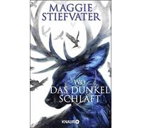 Maggie Stiefvat Wo das Dunkel schläft: Das phänomenale Finale der Raven- (Poche)