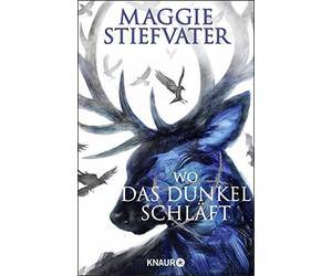 Maggie Stiefvat Wo das Dunkel schläft: Das phänomenale Finale der Raven- (Poche)