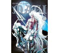 Magi : Labirynth of Magic. Tom 18 - Shinobu Ohtaka (Littérature en polonais)