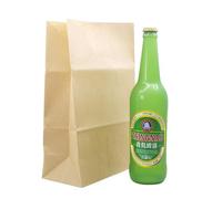 Magic Beer Bottle Vanishing Trick - Accessoire magique interactif drôle en PVC, 7 x 29,5 cm, 200 g