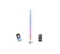 Ibiza MAGIC-COLOR-STICK-1.0BK - Tube lumineux RGB sur pied 1m Noir