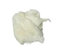 Magic Cotton 20 g/sac dans des conditions humides Tours de magie Stage Street Illusions Gimmicks Mentalisme Accessoires magiques Accessoires magiques