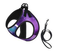 Magic Galaxy Sky Harnais avec laisse pour petit chien Motif galaxie Violet
