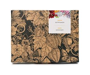 Magic Garden Seeds Coffret cadeau de semences - 6 plantes parfumées